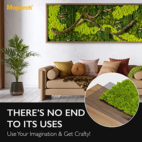 Maporch Chicken Wire Fence Mesh, 15.7In X 10Ft Black Plastic, Hexagonal Fencing Wire For Gardening, Poultry Fencing, Chicken Wire Frame For Crafts, Floral Netting #TOP6