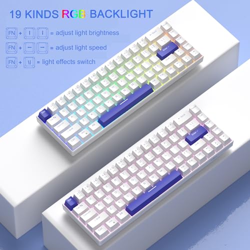 Image of MageGee Portable 60% Mechanical Gaming Keyboard, RGB Backlit Compact 68 Keys Wired Mini Keyboard for Laptop PC Mac, Hot Swappable, Blue Whale Switch - White