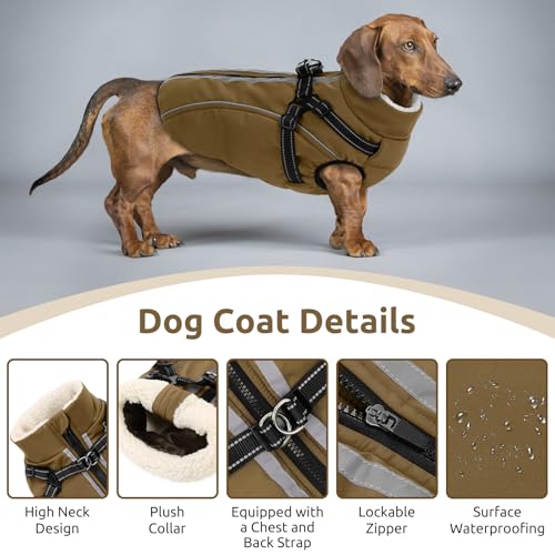 CITÉTOILE Hundemantel Hundejacke Warm Wintermantel mit Reißverschluss Winddichte & Winddichte mit Reflektorstreifen & Brustgurt für kleine Mittel Große Hunde Braun M