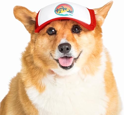 PupLid Trucker Hats for Dogs (Medium) Premium Stylish Sun Protection for The Modern Dog - Adjustable for Secure Comfortable Fit on Active Dogs (Red, Surfer Dog)