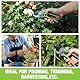 WORKPRO Bypass Gartenschere 210mm, professionelle Astschere mit SK5 Klinge für frische Zweige, ideales Gartenwerkzeug für Pfropfen, Beschneiden, Ernten, Pflanzenschere Baumschere für Gartenarbeit