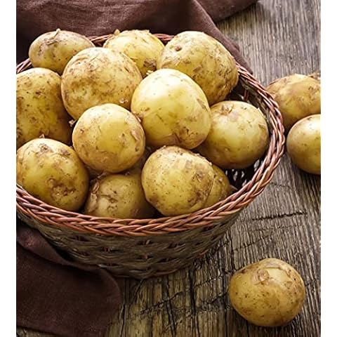 Thompson and Morgan Potato ‘Foremost’ Seed Potatoes Cover