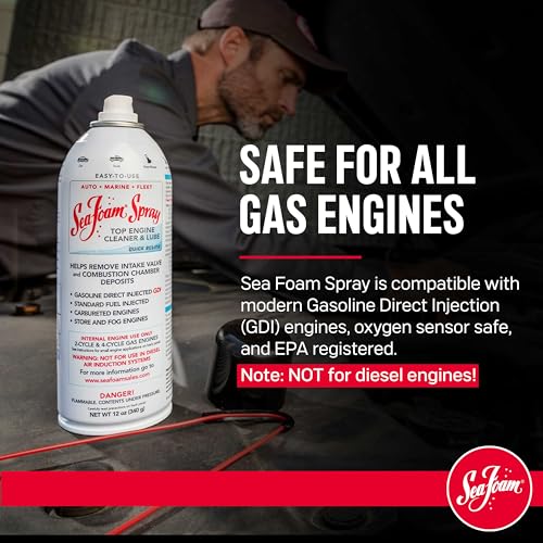 image for Sea Foam Spray Engine Intake Valve Cleaner, SS14, 14 oz, Pack of 2, 12