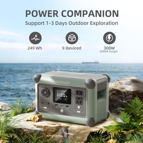 Portable Power Station OASIS 300, 249Wh Solar Generator 1.5 Hours Fast Charging LiFePO4 Battery Pack with 2x300W (600W Surge) AC Outlets for Outdoor Camping, RVs and Emergency Backup - Image 3