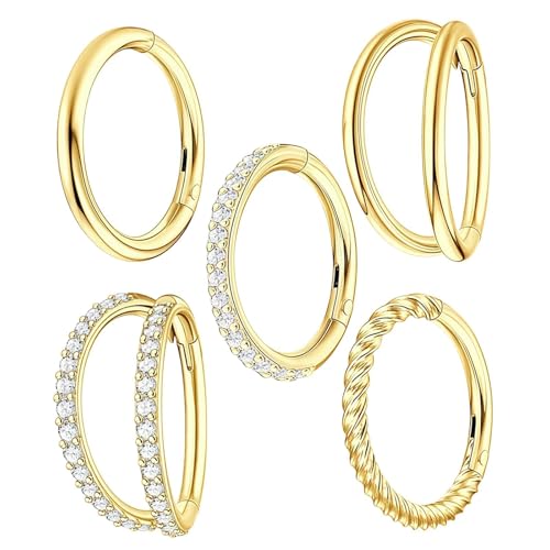nuneoeuo 5 Pcs Gold Nose Rings Set Double Nose Ring Golds Piercing Jewelry Small Gold Hoop Earrings for Women Noses Rings Golds and Lip Rings Suitable for Both Men and Women