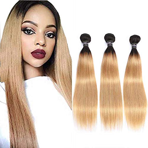 Straight Ombre Weave Honey Blond Real Human Hair Brazilian Hair 3 Bundles 1b 27 Double Weft with for Women 14 16 18 inches