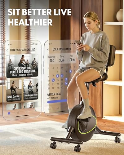 ergonomic executive office chair System product image