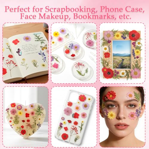 228 piezas de flores secas prensadas con stickers de mariposas para manualidades miniatura 6