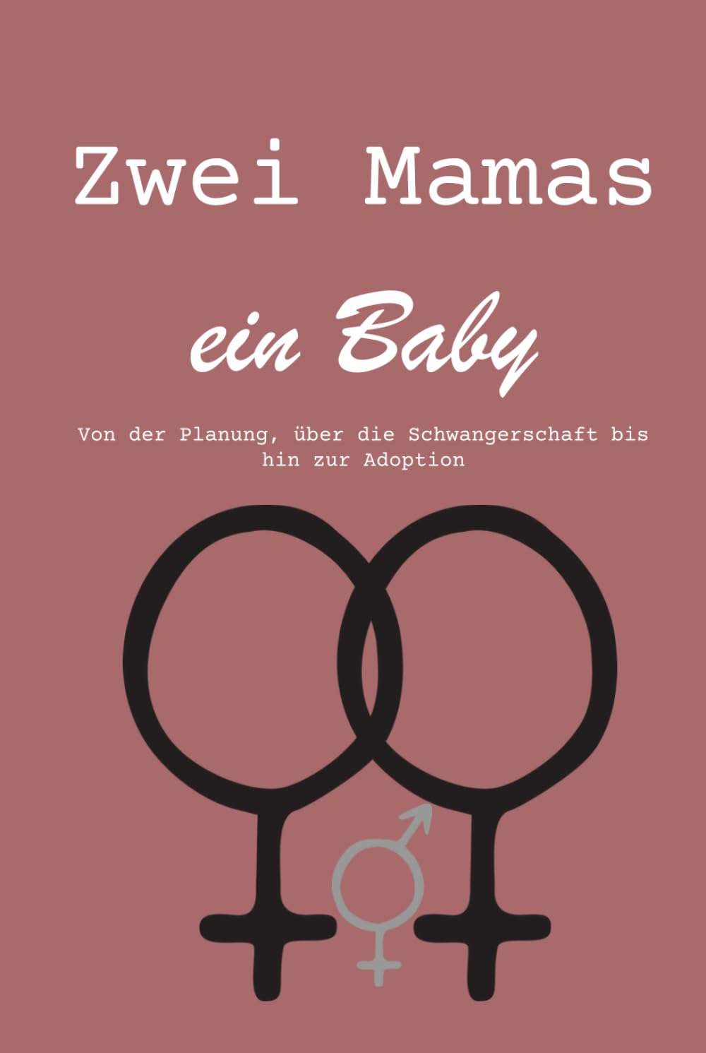 Zwei Mamas ein Baby: Von der Planung, über die Schwangerschaft bis hin zur Adoption