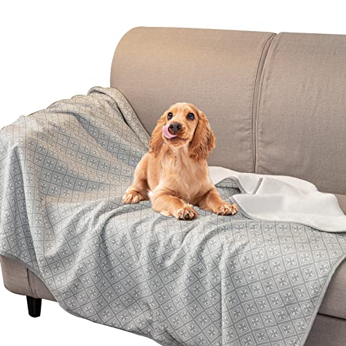 Find The Best Couch Fabric For Dogs Reviews & Comparison Katynel