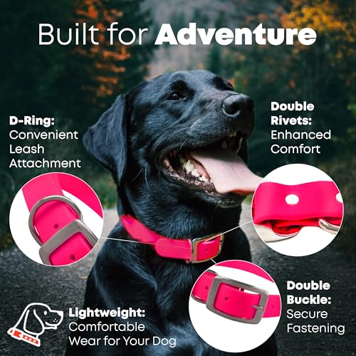 Regal Dog Products Large Pink Waterproof Dog Collar with Heavy Duty Double Buckle & D Ring | Vinyl Coated, Custom Fit, Adjustable Biothane Dog Collar | Chew Resistant Waterproof Collar for Dogs - Image 3