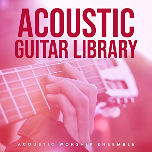 Best Acoustic Guitar Library Expert Review The Modern Record