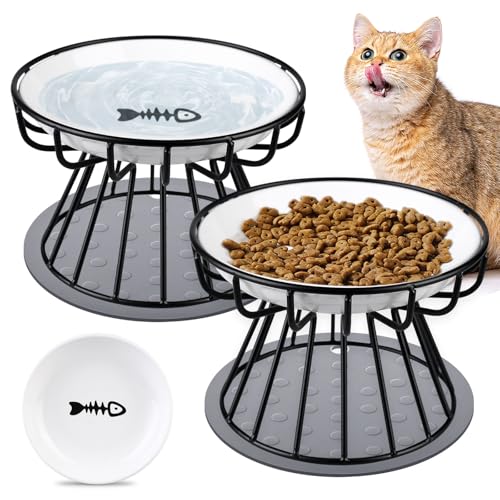 2 Pezzi Ciotole per Gatti Rialzate, Ciotola Gatto in Ceramica, Ciotola Gatto Rialzata Anti Vomito con Tappetino Antiscivolo, Ciotola Rialzata per Gatti e Cani di Piccola Taglia