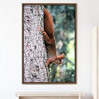Framed Canvas Wall Art Squirrel Animals Fun Living Room Multicolor Photography Rustic Squirrel - 16x24 inches