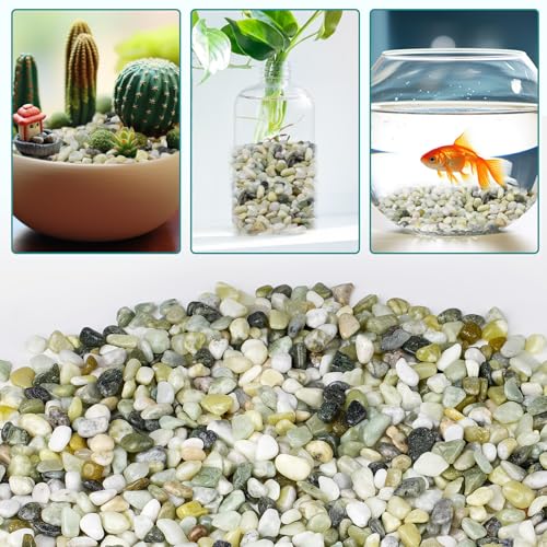 Image of 5 lbs Jade Pebbles for Indoor Plants, 3 /8 inch Plant Rocks for Pots Indoor, Decorative Small Stones for Plants, Bamboo,Vase, Succulent, Highly Polished Small River Rocks