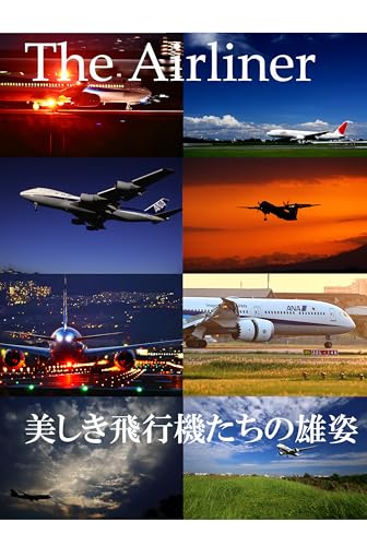 The Airliner 美しき飛行機たちの雄姿: 美しき飛行機たちの雄姿 The Aieliner (Clipper出版)