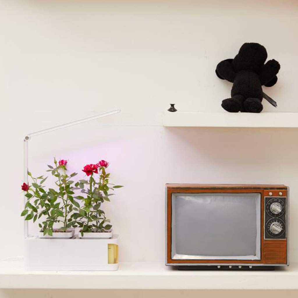 TEmkin Ampoules de Croissance à LED, Lampe de Lecture de Protection des Yeux, Lampe de Culture à Spectre Complet pour Plantes, Culture Hors-Sol LED à Spectre Complet pour Plantes d'intérieur