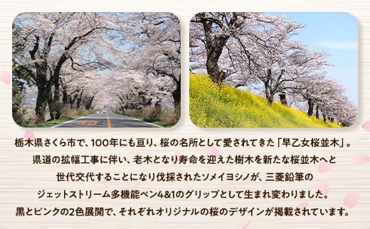 Amazon.co.jp: ×倉庫【ブラック】さくら市オリジナル「ジェット