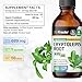 BIO KRAUTER Cryptolepis Sanguinolenta Extract - Vegan Cryptolepis Tincture for Immune Support - Alcohol & Sugar Free - 4 Fl.Oz.