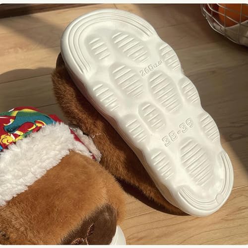 Capybara Slippers for Women With 5 Pcs Cute Socks Plush Funny Cartoon Slide Sandals Indoor Outdoor Cozy House Shoes4