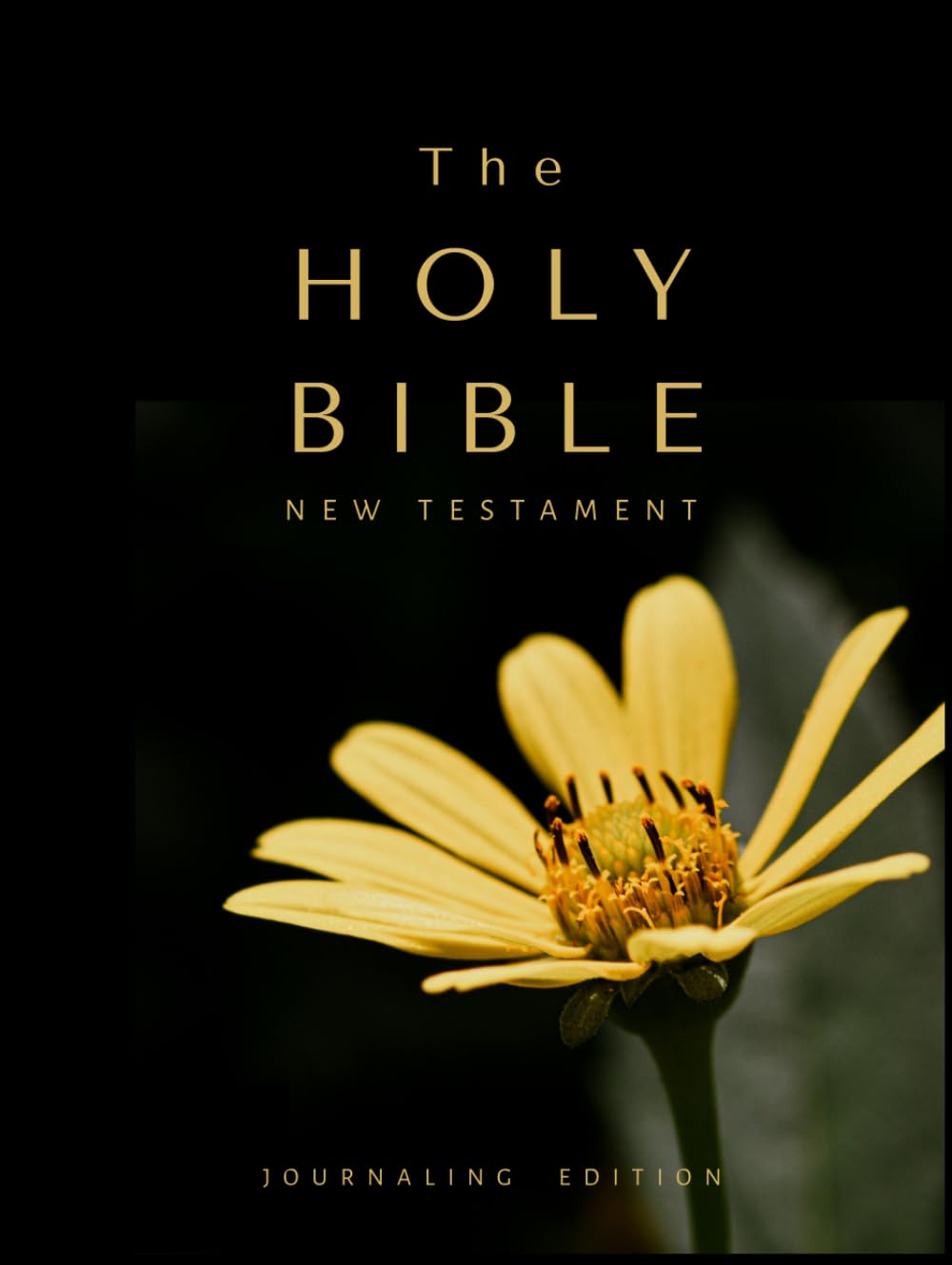Holy Bible KJV: Wide Margin Journaling Edition: Large Print Single-Column New Testament Bible for Meditation, Study Notes, and Reflection