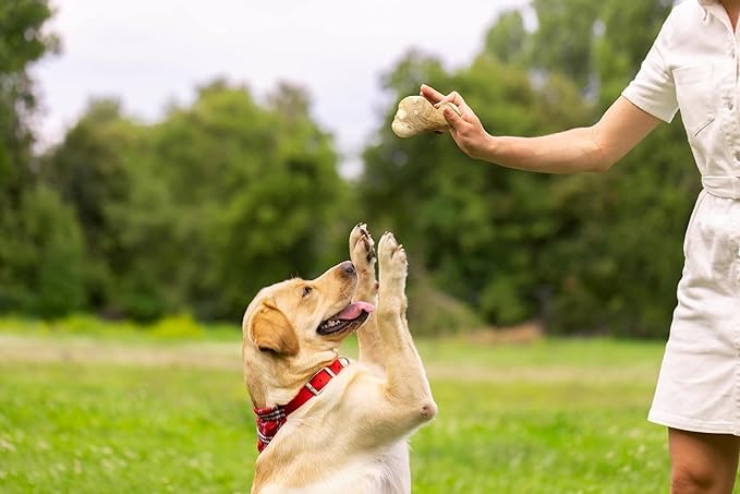 Coude à mâcher pour chien robuste en bois Gorilla Chew durable