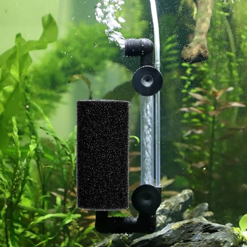 Image of Xinjoduz 6 PCS Aquarium Filter Sponge, Round Black Pre-Filter Sponge for Aquarium Shrimp Fry Fish Tank Filter Pump Sponges Replacement Foam Cover Accessories (3.2 inch x 1.6 inch, 0.8 inch Hole)