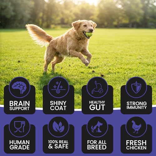 Image of Dr. Pets 85g Treetos Chicken Stix Dog Treats | Blueberry Blast Flavour | Soft Chew Sticks for Puppies & Adult Dogs | Training Reward Treat | Easy to Digest | Pouch Pack