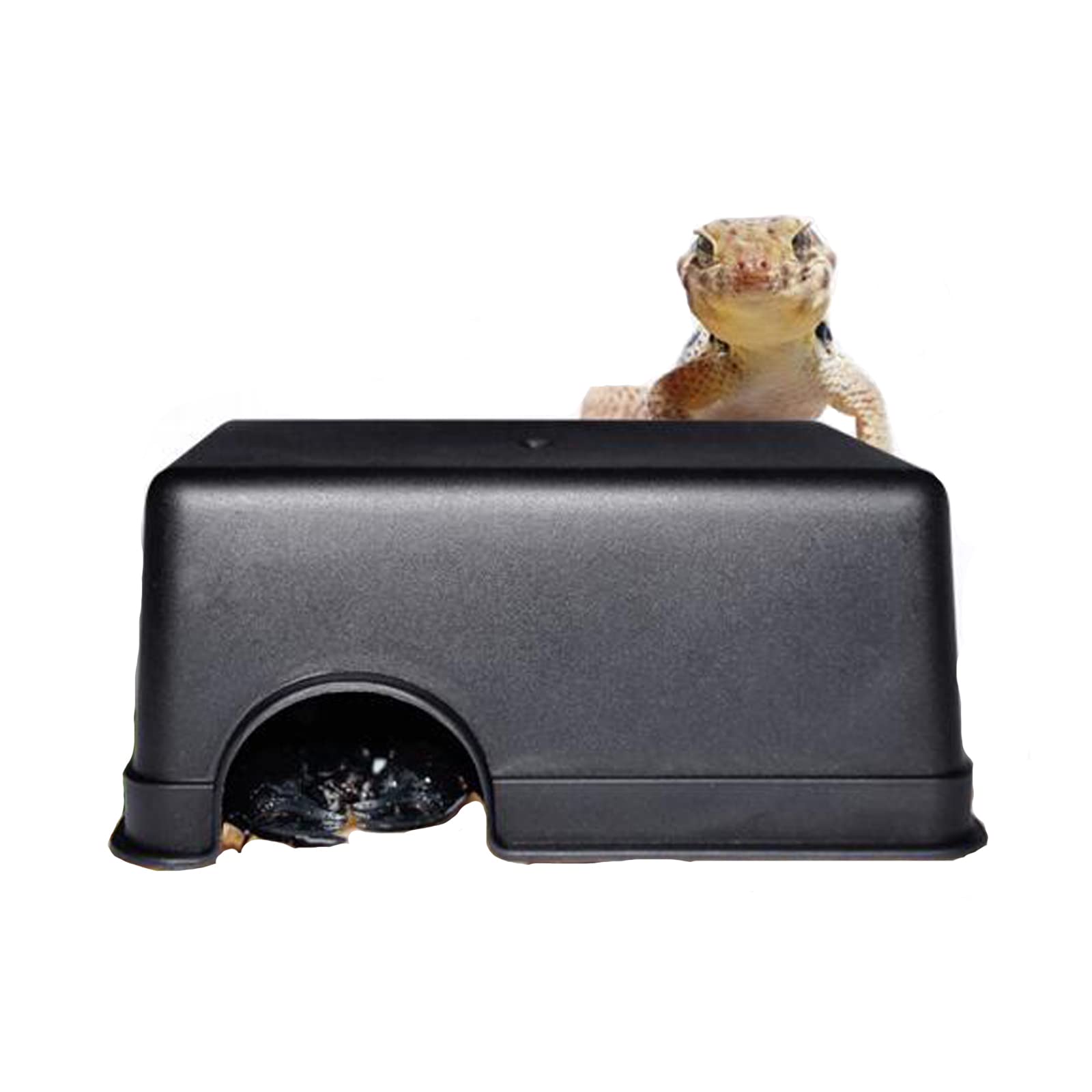 Buy Reptile Hides HumidificationReptile Hide Box Reptile Caves Reptile