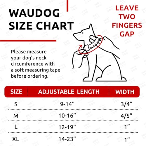 WAUDOG Halsband Hund Wasserfest Verstellbar für Große, Mittelgroße und Kleine Hunde - Welpen Halsband