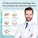COSLUS Munddusche Elektrisch Professional Zähne: 2 Modi & 12 Druckstufen – 600ml Wassertank Zahndusche für Familien Oral Health Enthusiasten/Orthodontie-Pa... – Haushalt & Bad mit 5 Düsen –Schwarz