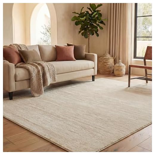 SAFAVIEH Adirondack Collection Area Rug