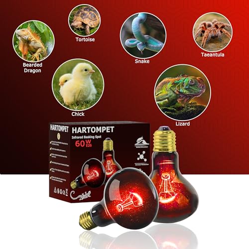Image of 60W Infrared Red Heat Lamp for Reptiles, Basking Spot Bulb for Pet Lizards, Bearded Dragons, Chameleons & Snakes, Red Heat Emitter Light for Chickens Coop and Brooder Use, E26|2 Pack