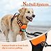 rabbitgoo Dog Harness No Pull with 2 Leash Clips, Adjustable Soft Padded, Reflective Oxford No Choke Pet Vest with Easy Control Handle for Large Dogs, Orange, XL