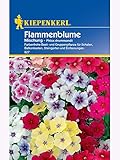 Kiepenkerl - Blumen-Saatgut