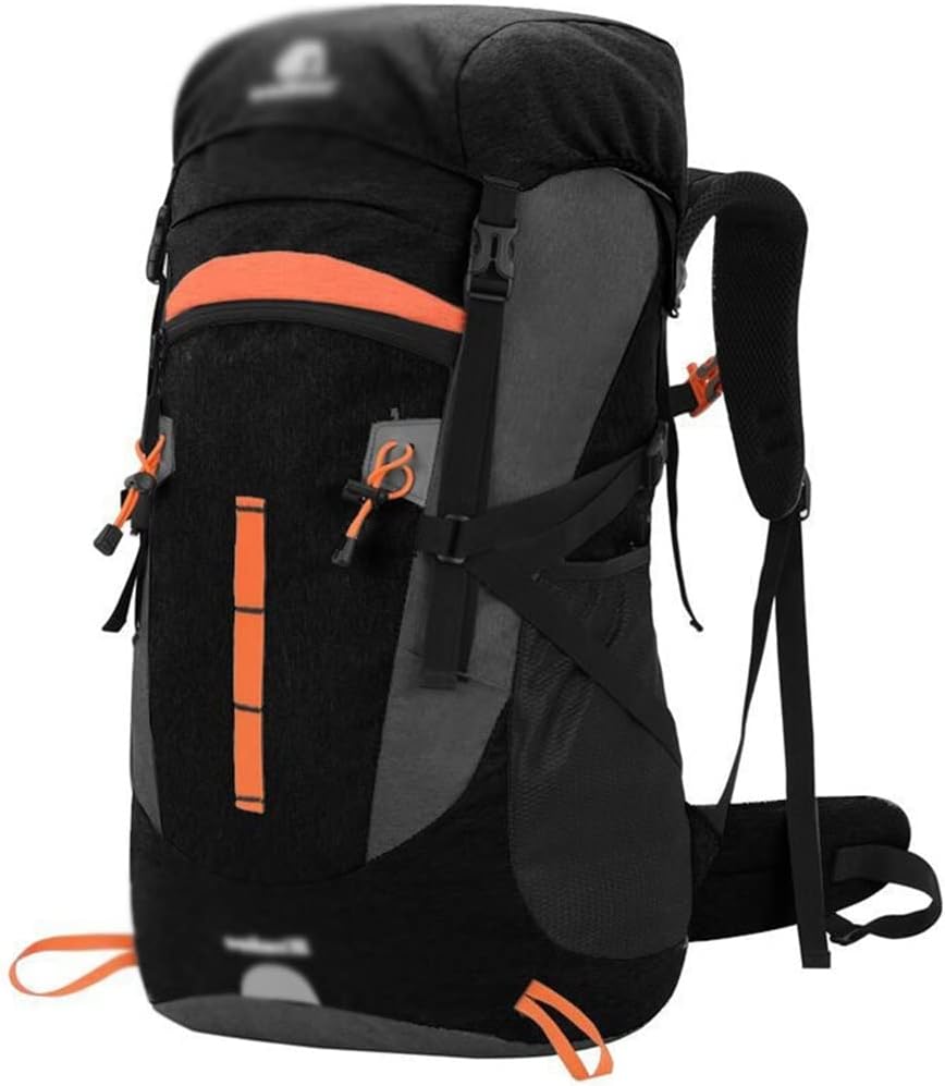 守屋多々志、【深淵（和泉式部）】、希少な額装用画集より、新品額装付