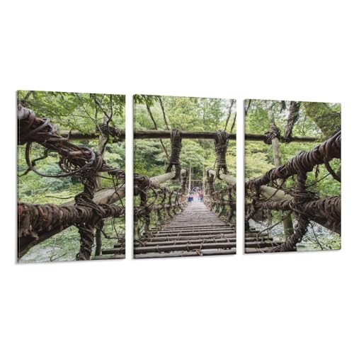 3枚 徳島県 祖谷のかずら橋 絵画 インテリア ポスター 日本の風景写真 アートパネル 風景画 自然風景 絵 アートポスター 装飾画 キャンバス 飾り絵 壁飾り 壁の絵 玄関 壁掛け 木枠付きの完成品 50x75cm