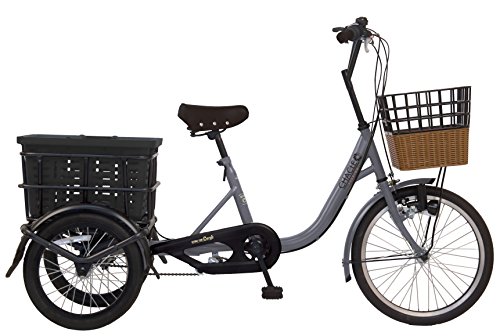 イオンバイク　ナチュラルフロー　大人用三輪車 Natural Flow大人用三輪車 イオンバイク ナチュラルフロー 大人用