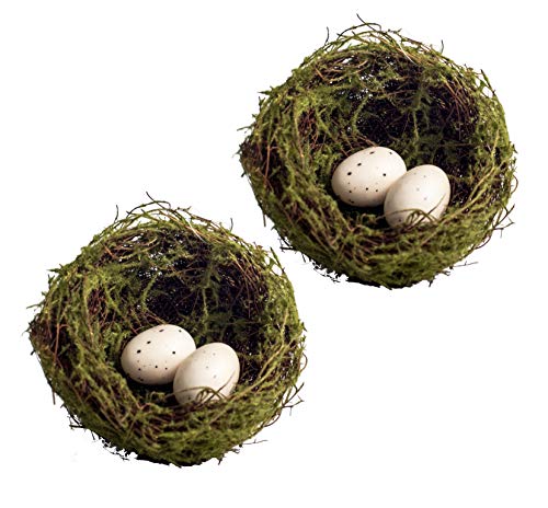Vita Domi 5" Set of 2 Twig and Moss Bird Nest with Eggs