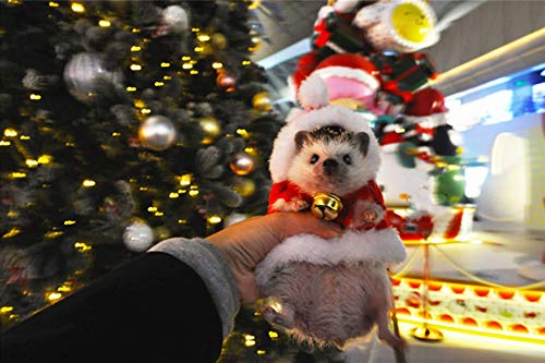 Disfraz para erizo Navidad Santa Claus talla XS miniatura 5