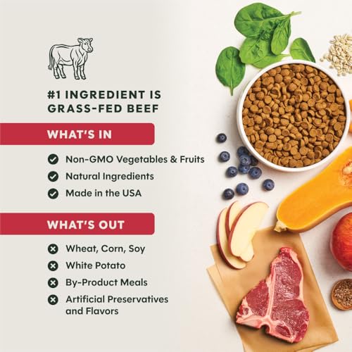 Instinct Be Natural Rezept für Hunde, 11,3 kg