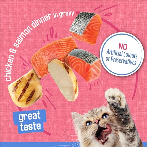Friskies Shredded Wet Cat Food, Chicken & Salmon Dinner - 156 g Can (24 Pack) image 2