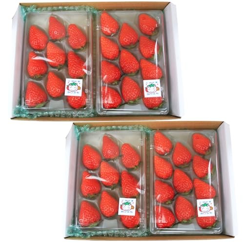[先行予約]京都・まつみやファームのいちご(あきひめイチゴ)4パック(2026年3月中旬〜発送)