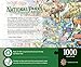 MasterPieces - 1000 Piece Jigsaw Puzzle, National Parks of America, Fun for Adults, Family, Kids 19.25