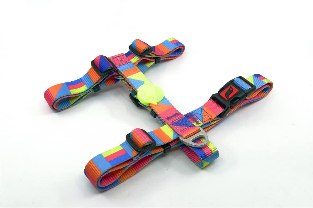 ASTORPET | Arnés Tipo H para Perro. con Cierre de Seguridad y Presilla Cosida. Accesorios para Perros, Ajustable de Tacto Suave. Arnés Perro Tailpetz. Spirit - Talla M.