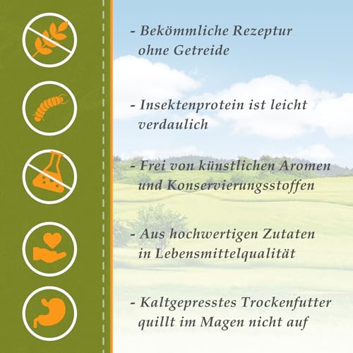 Bellfor Naturgut-Schmaus Hochwertiges Kaltgepresstes Hypoallergenes Trockenfutter für Hunde mit Insekten Getreidefrei Optimal für Ernährungssensible Hunde (4 kg)