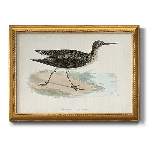 Renditions Gallery Animal Wall Art Sandpiper on Beach Painting Picture Modern Nature Wilderness Artwork Home Décor Gold Framed Canvas Prints Wall Decorations for Bedroom and Bathroom 22x31 Inch