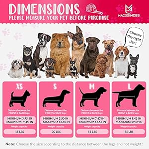 Pet-Grooming-Hammock-for-Nail-Trimming-Complete-Groomers-Helper-Set-for-Pet-Dog-Grooming-Hammock-with-Hook-Cat-Nail-Clipper-Dog-Hammock-for-Nail-Clipping-S-Pink-with-black-paws - Cucciolini Doodles   Pet-Grooming-Hammock-for-Nail-Trimming-Complete-Groomers-Helper-Set-for-Pet-Dog-Grooming-Hammock-with-Hook-Cat-Nail-Clipper-Dog-Hammock-for-Nail-Clipping-S-Pink-with-black-paws