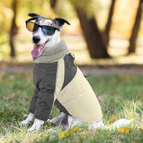 CITÉTOILE Hundemantel Winter, Wasserdicht & Winddicht Mit Geschirr für Kleine, Mittlere und Große Hunde, Reflektierende Hundejacke Mit Bauchschutz