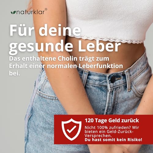 Leber Plus hochdosiert - 80% Silymarin, Mariendistel Kapseln mit Artischocke, Löwenzahn, Curcuma & Cholin - 120 Kapseln - Vegan - Milk thistle - Made in Germany